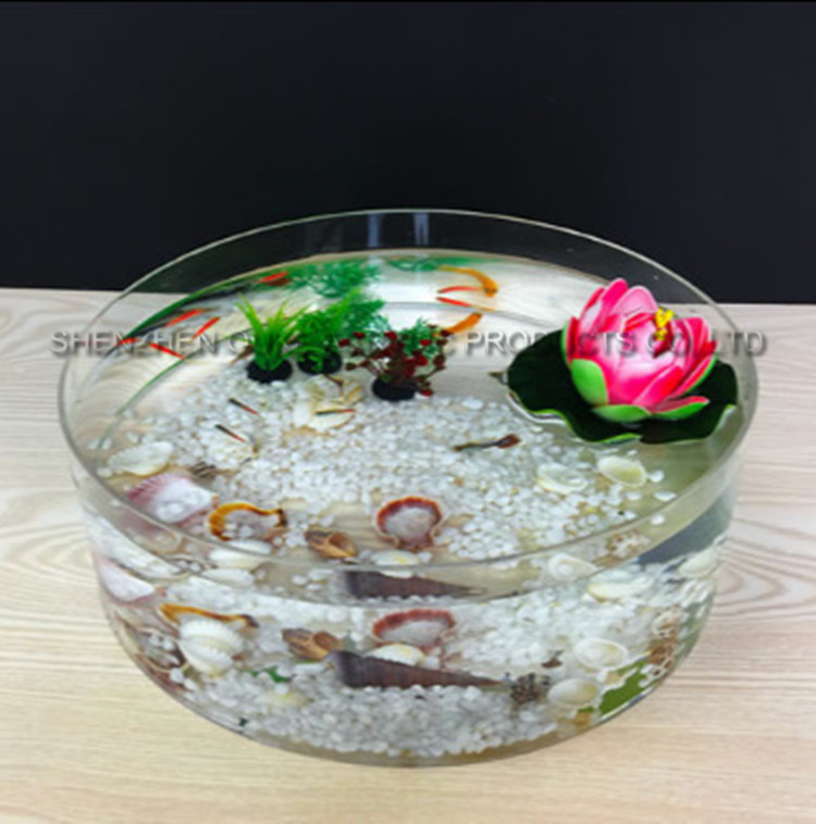 plastic round fish tank.jpg
